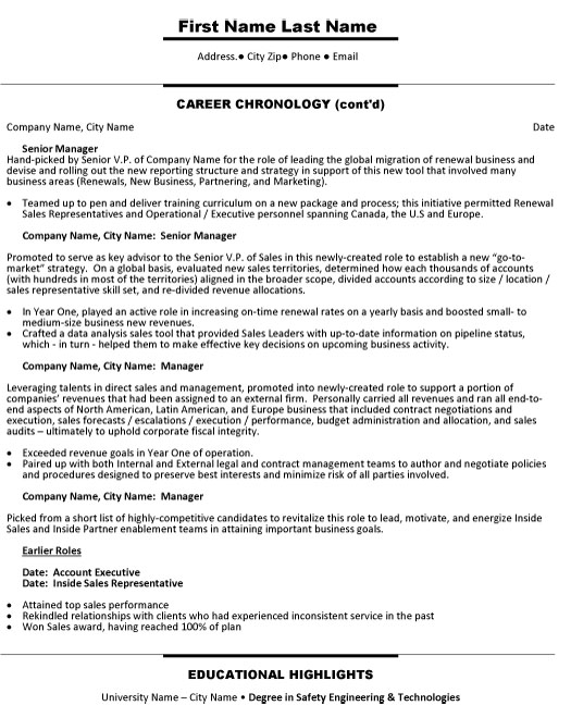 Sales Account Executive Resume Sample & Template Page 2
