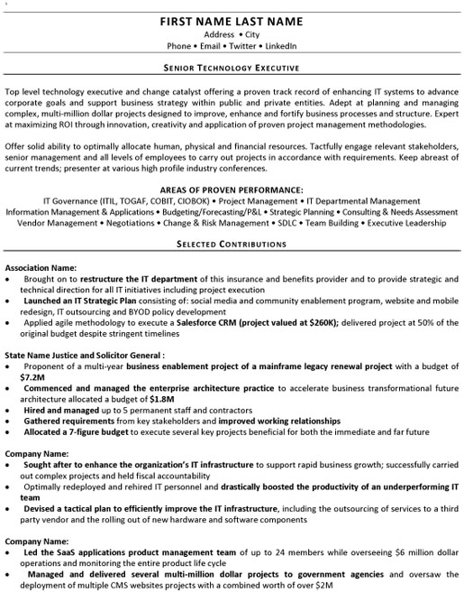 Senior Technology Executive Resume Sample & Template