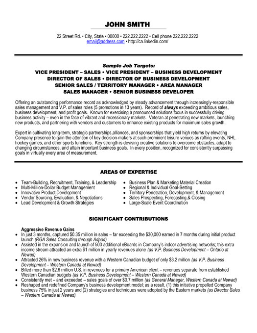 Vice President of Sales Resume Sample & Template