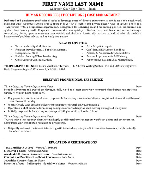 IT Solutions Resume Sample & Template