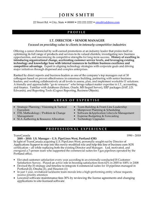 IT Director Resume Sample & Template